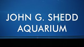 Shedd Aquarium Case Study - Web Documentary for Dyson Airblades<br /><br />
